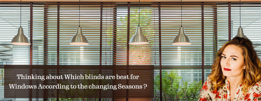 Blinds Selection Guide.